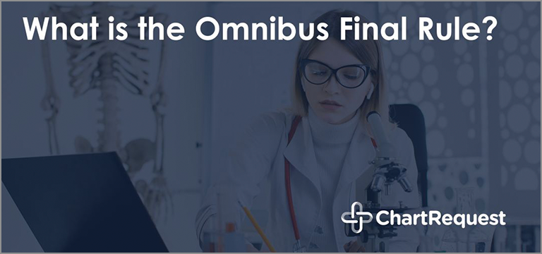 Omnibus Final Rule